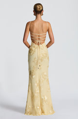 Velour Maxi Dress